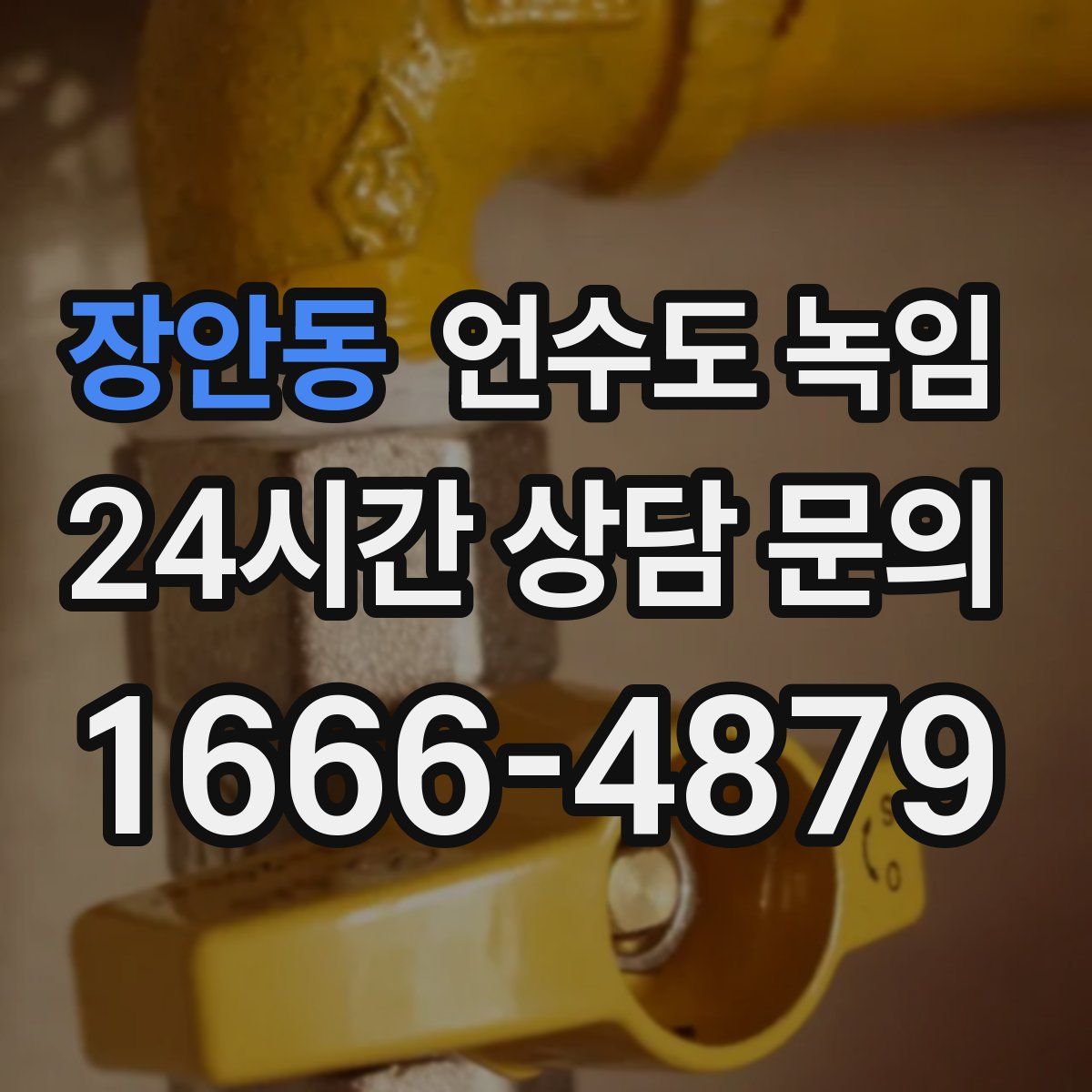 장안동 언수도 녹임