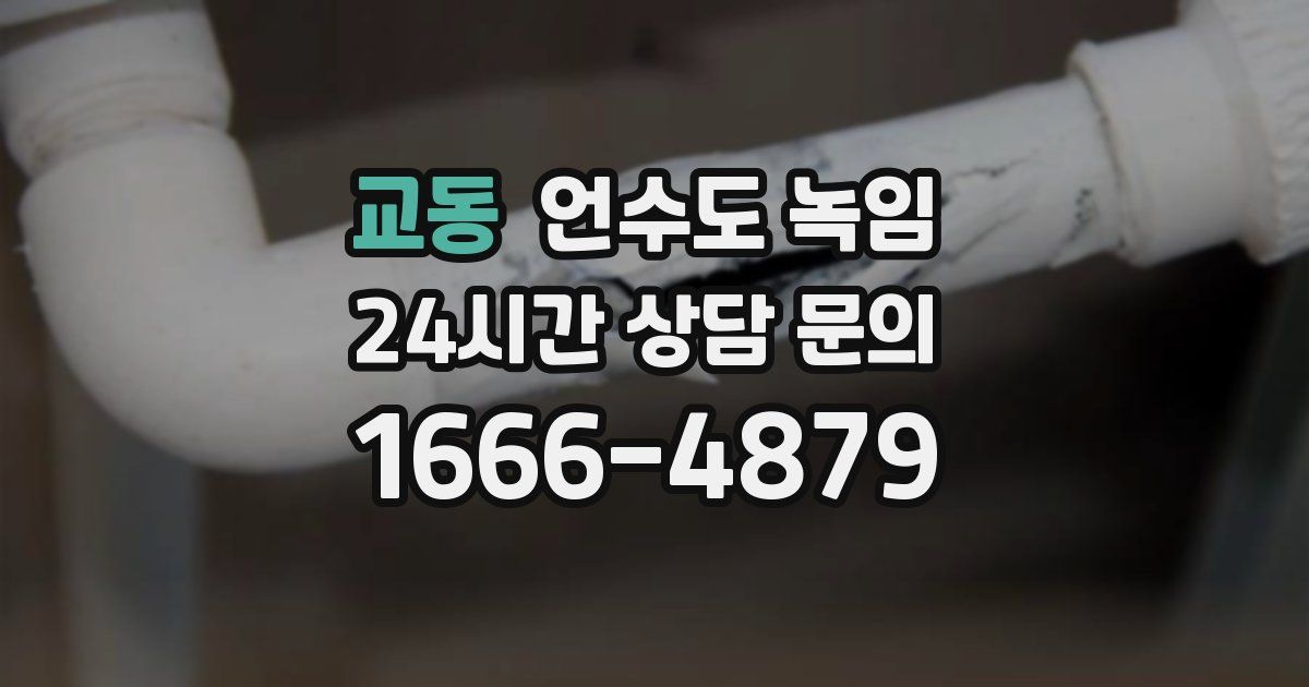 교동 언수도 녹임