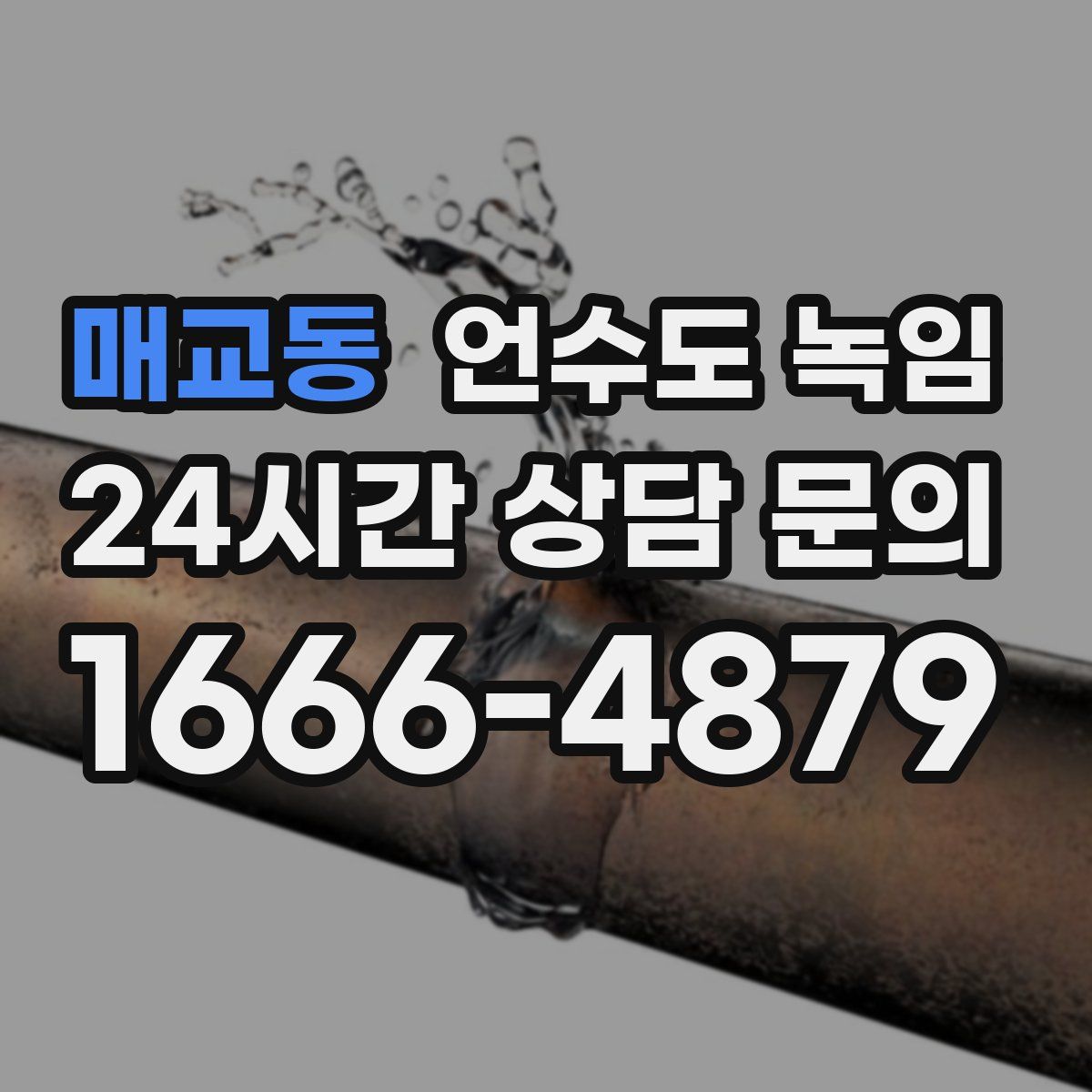 매교동 언수도 녹임