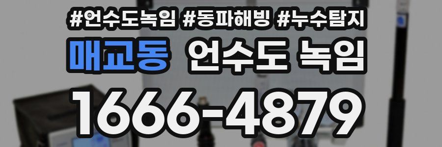 매교동 언수도 녹임