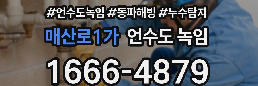 매산로1가 언수도 녹임