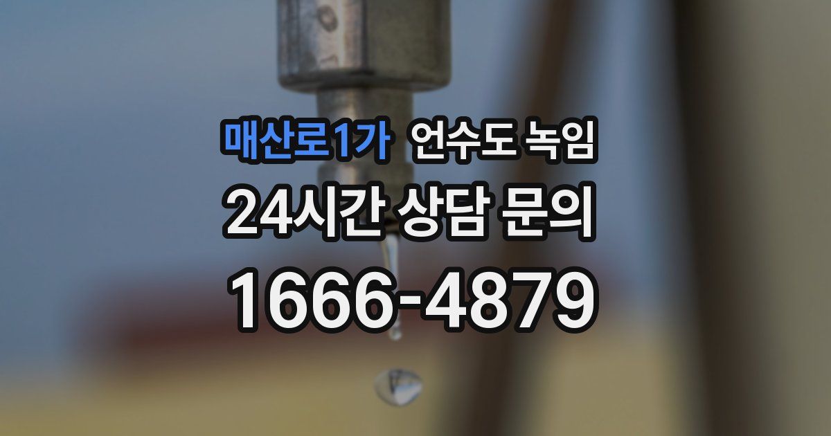 매산로1가 언수도 녹임