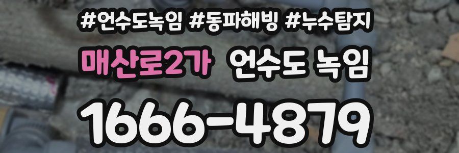 매산로2가 언수도 녹임