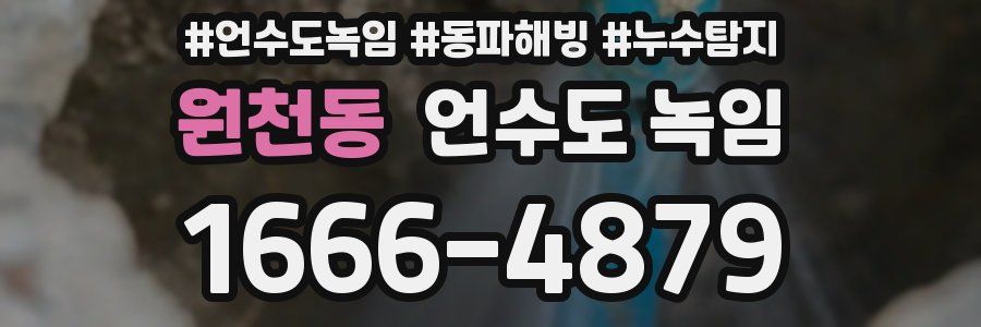 원천동 언수도 녹임