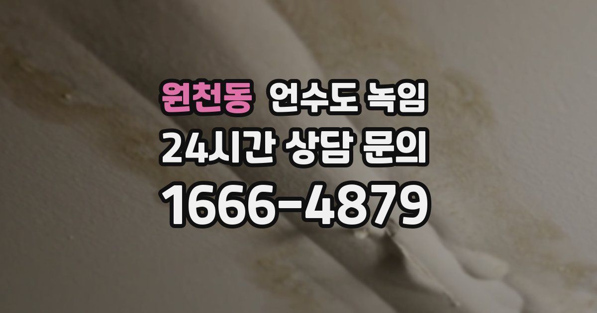 원천동 언수도 녹임