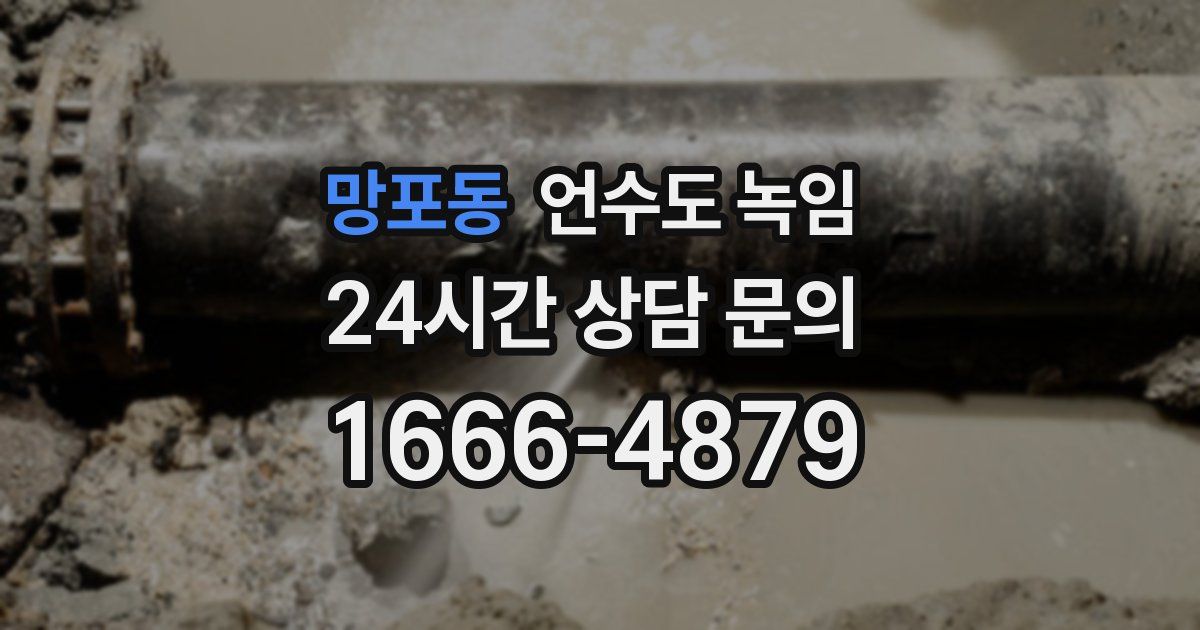 망포동 언수도 녹임