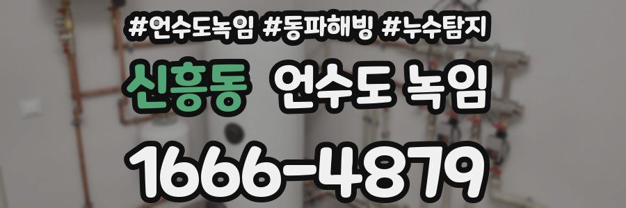 신흥동 언수도 녹임