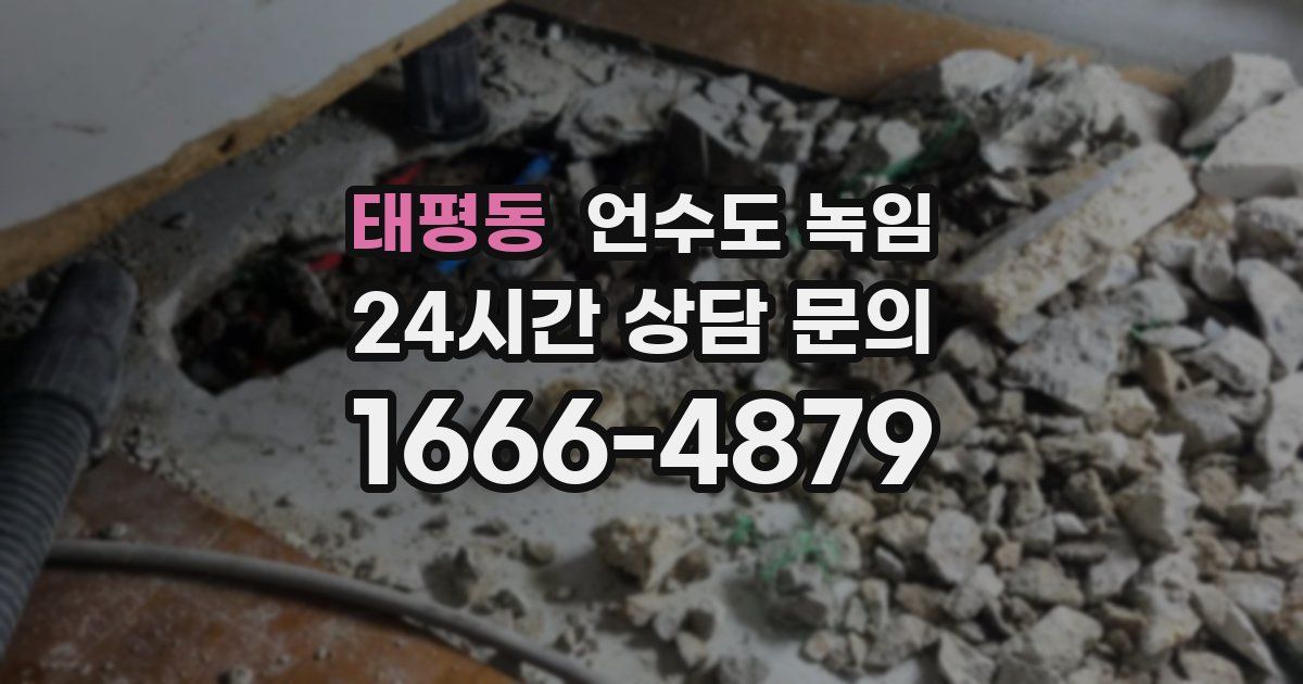 태평동 언수도 녹임