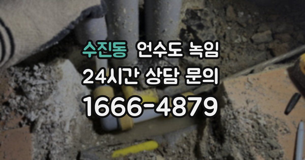 수진동 언수도 녹임