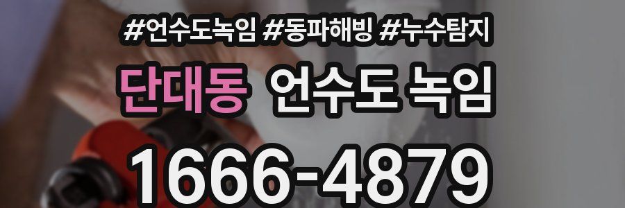 단대동 언수도 녹임