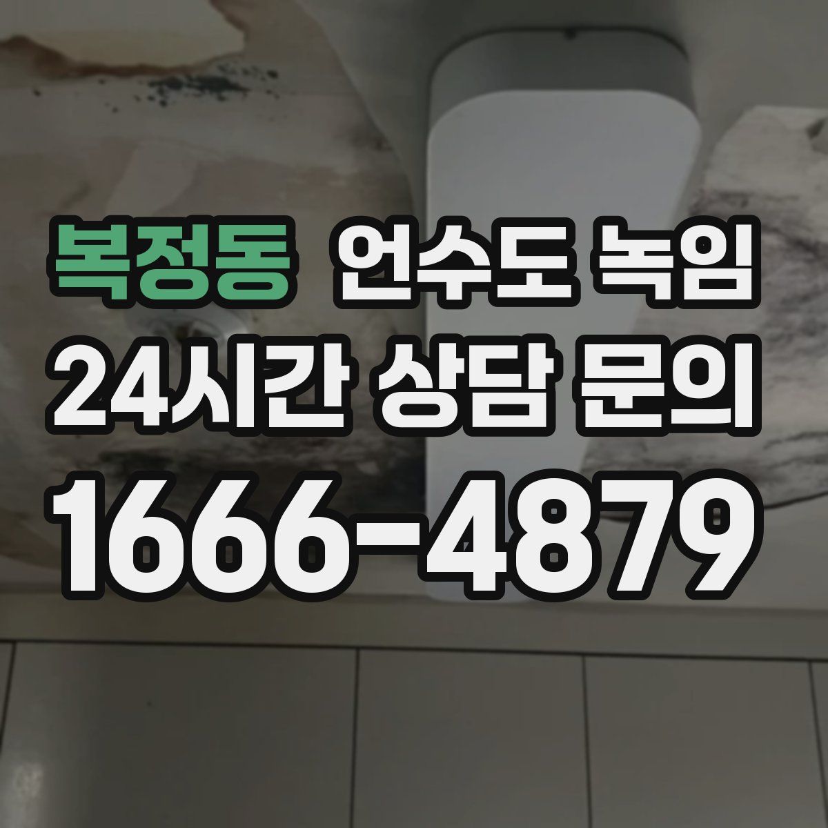 복정동 언수도 녹임