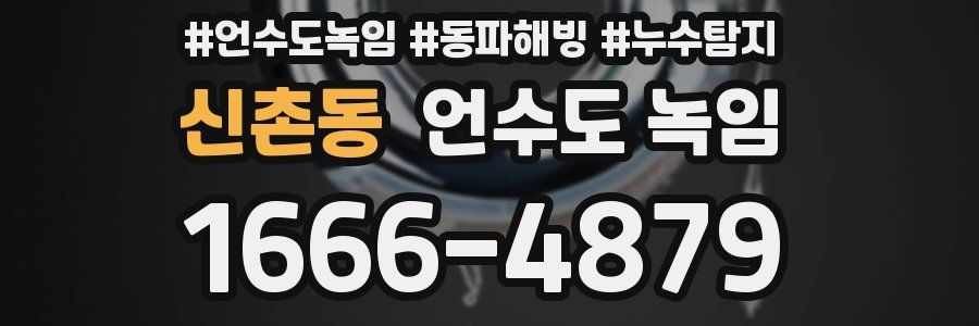 신촌동 언수도 녹임