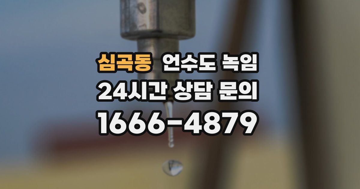 심곡동 언수도 녹임