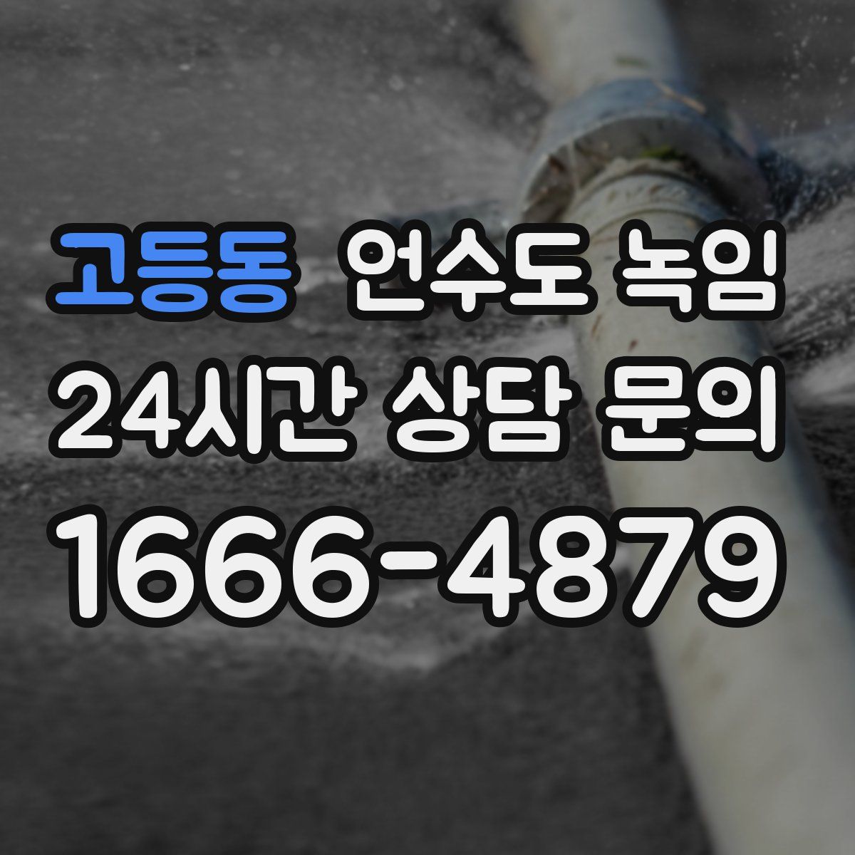 고등동 언수도 녹임