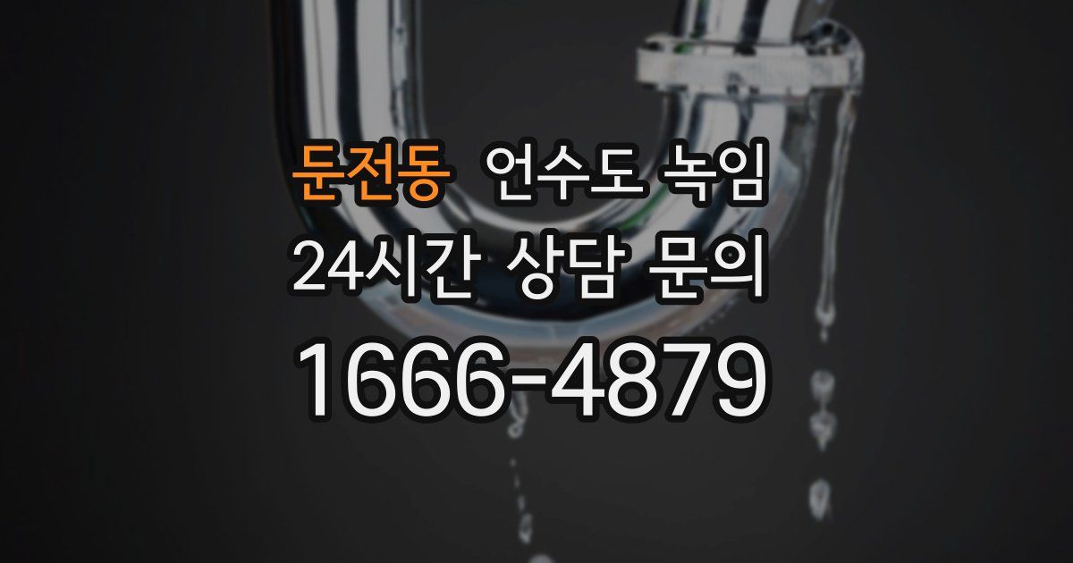 둔전동 언수도 녹임