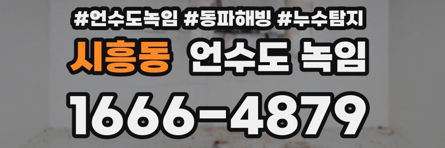 시흥동 언수도 녹임