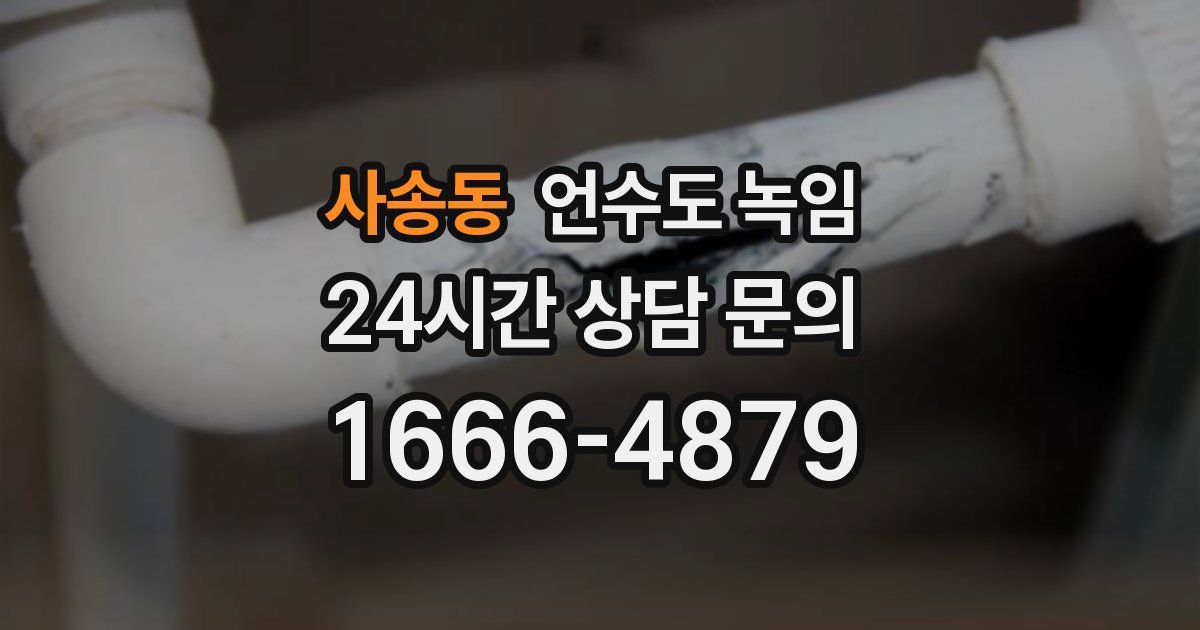 사송동 언수도 녹임