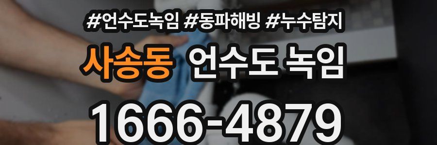 사송동 언수도 녹임