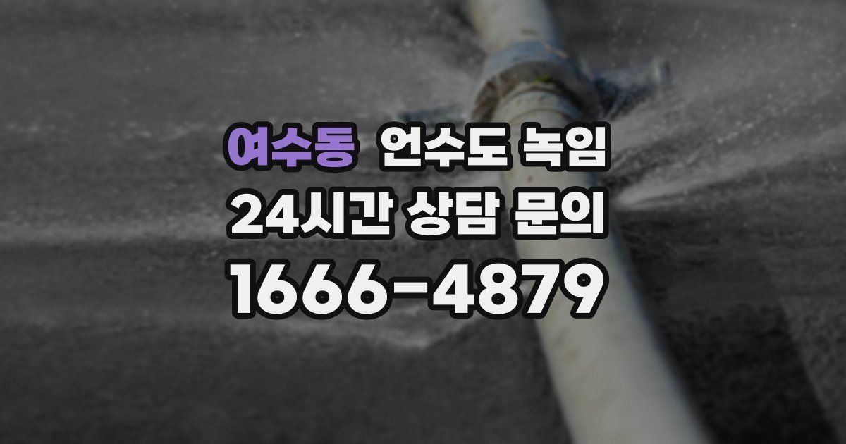 여수동 언수도 녹임