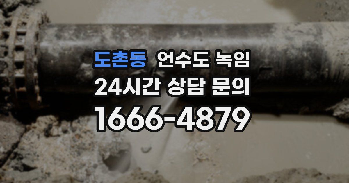 도촌동 언수도 녹임