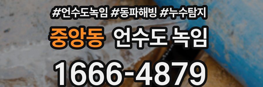 중앙동 언수도 녹임