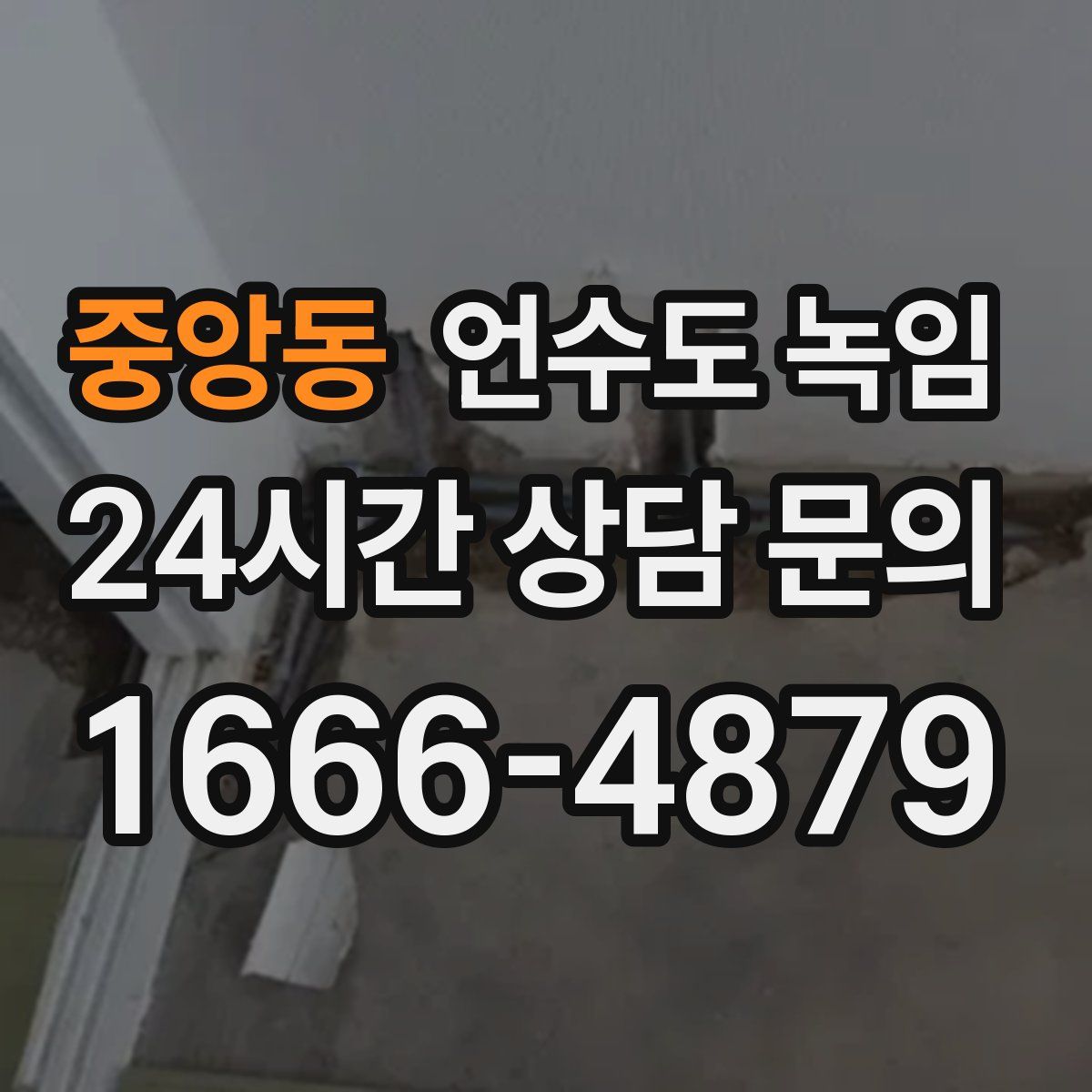 중앙동 언수도 녹임