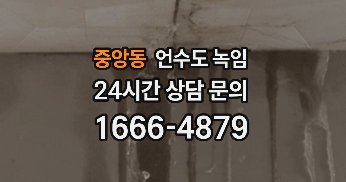 중앙동 언수도 녹임