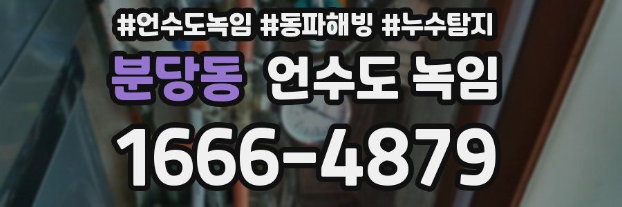 분당동 언수도 녹임