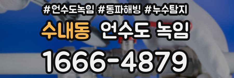 수내동 언수도 녹임