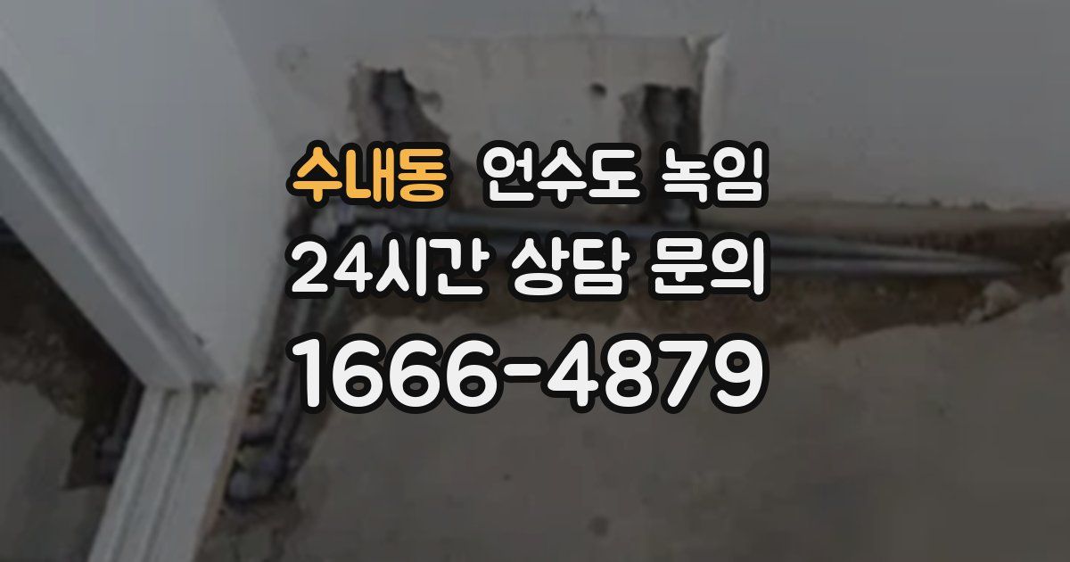 수내동 언수도 녹임