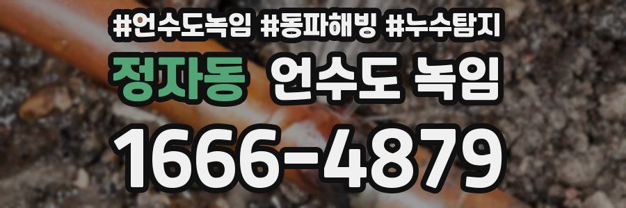 정자동 언수도 녹임