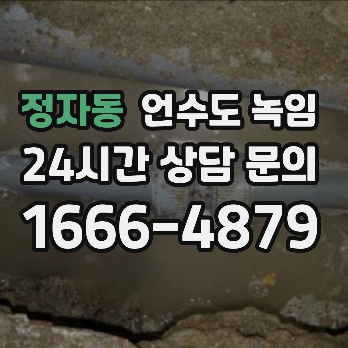 정자동 언수도 녹임