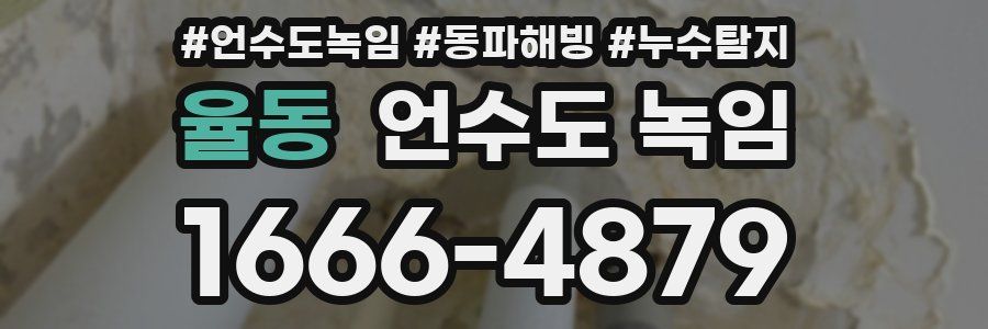 율동 언수도 녹임