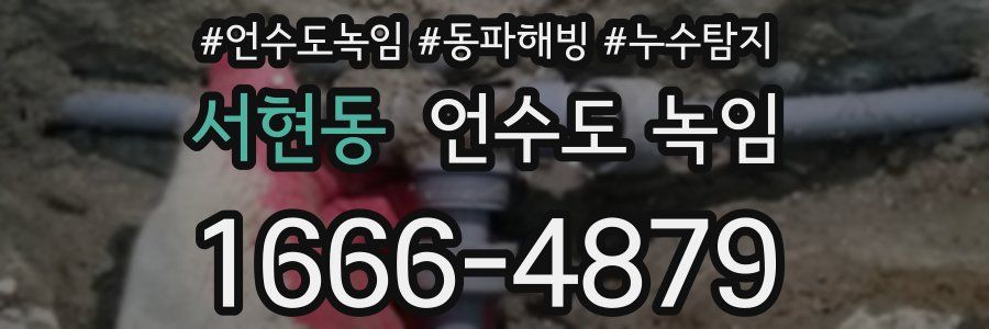 서현동 언수도 녹임