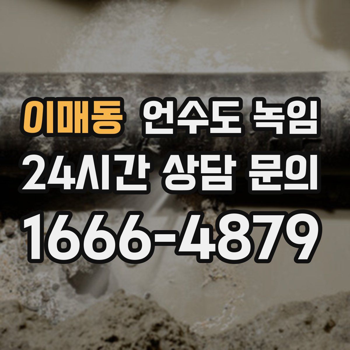 이매동 언수도 녹임