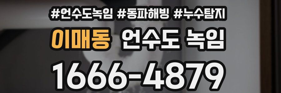 이매동 언수도 녹임