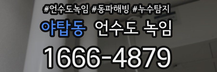 야탑동 언수도 녹임