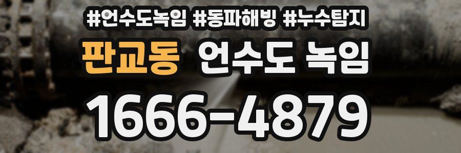 판교동 언수도 녹임