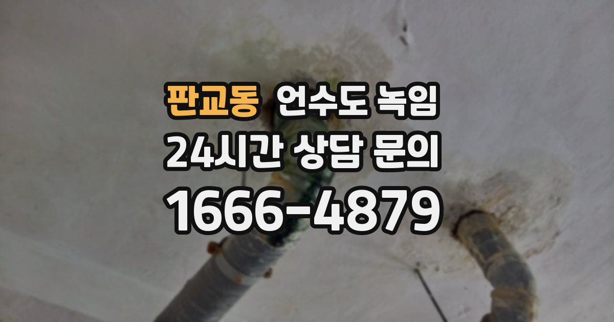 판교동 언수도 녹임
