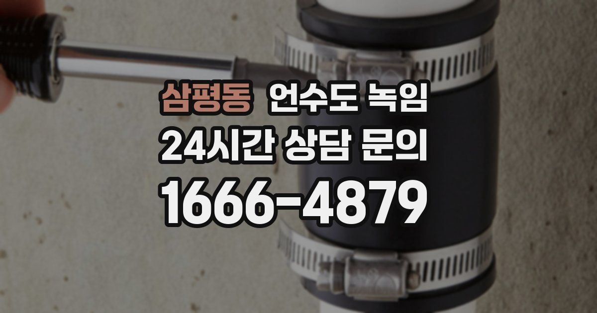 삼평동 언수도 녹임