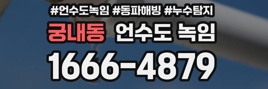 궁내동 언수도 녹임