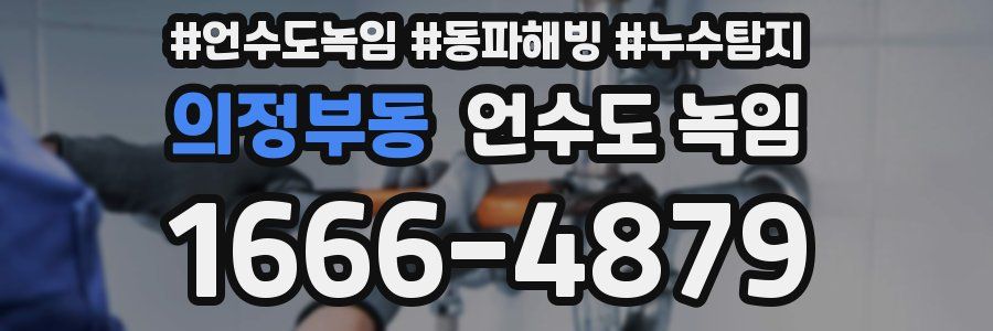 의정부동 언수도 녹임