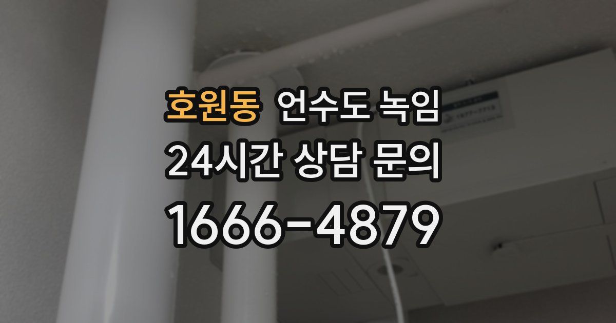 호원동 언수도 녹임