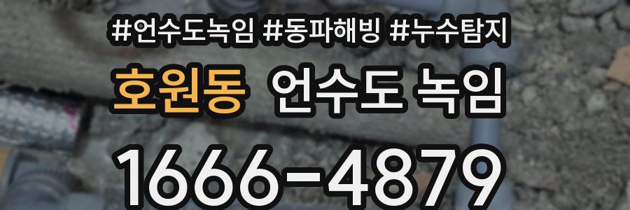 호원동 언수도 녹임