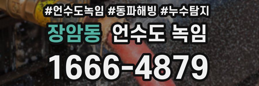 장암동 언수도 녹임