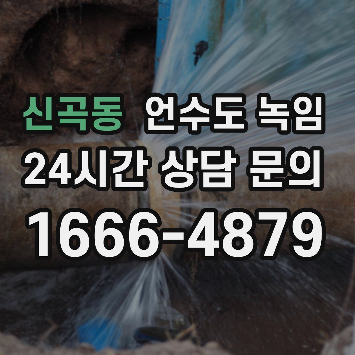 신곡동 언수도 녹임
