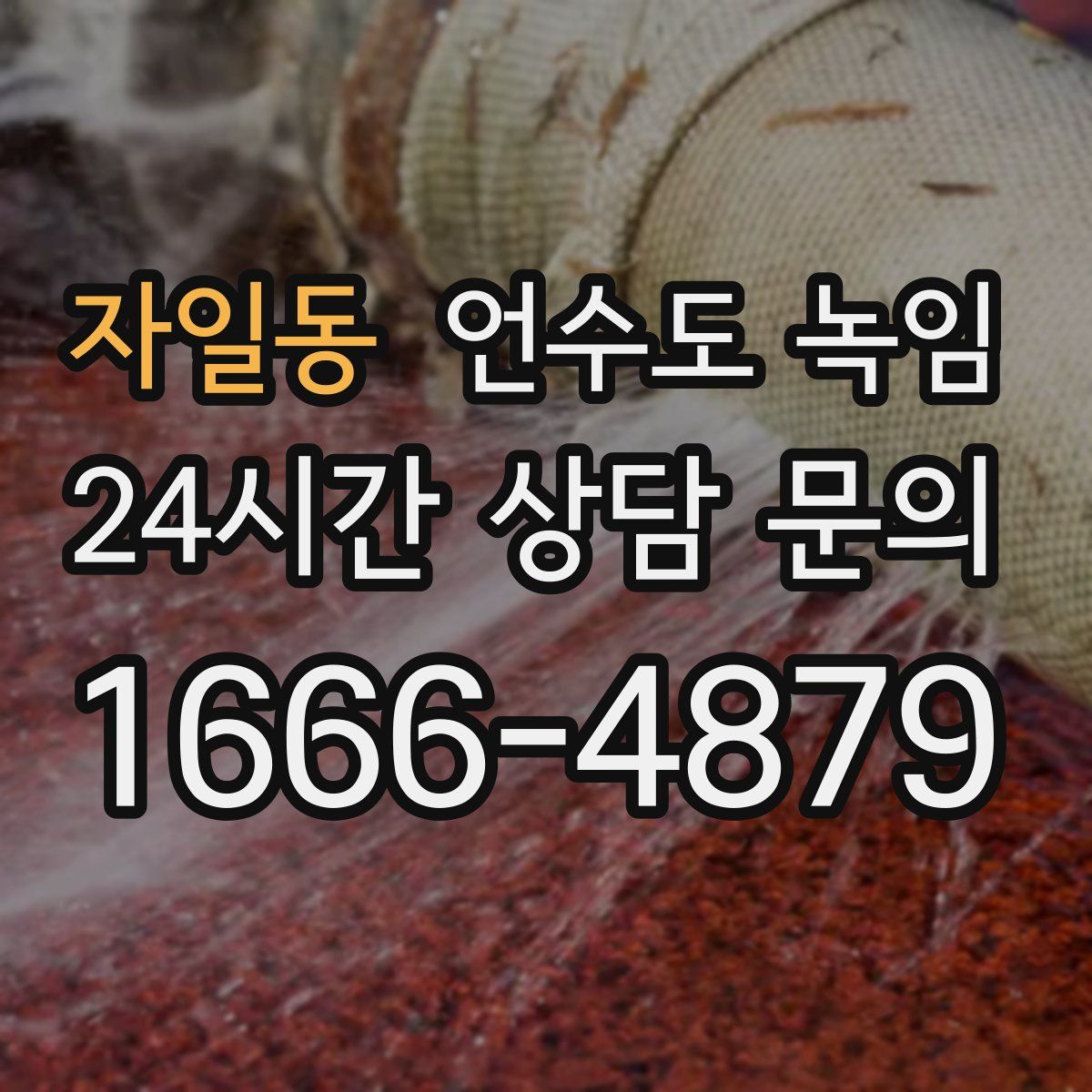 자일동 언수도 녹임