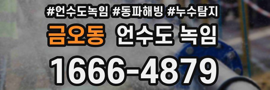 금오동 언수도 녹임