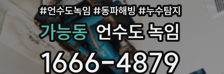 가능동 언수도 녹임