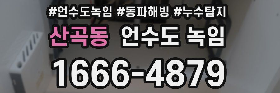 산곡동 언수도 녹임